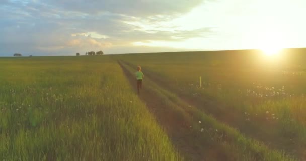 Летним Дождем Пшеничному Полю Проходит Воздушная Съемка Спортивного Ребенка Вечерние — стоковое видео
