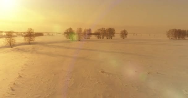 Drone Vista Aerea Del Freddo Paesaggio Invernale Campo Artico Alberi — Video Stock
