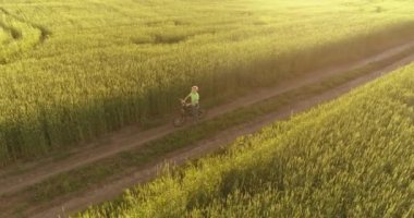 Kırsal yoldaki bir çim tarlasında bisiklet süren genç bir çocuğun hava manzarası. Sıcak güneş ışığı ve ışınlar ile yaz zamanı çayırı. Sağlıklı çocukluk kavramı.