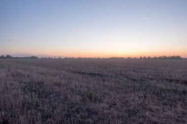 4K UHD düz tepe çayırlık zaman dilimi yaz gündoğumu zamanı. Vahşi doğa ve kırsal çimler. Güneş ışınları ve yeşil ağaçlar. Motorlu doli kaydırma ve panorama hareketi