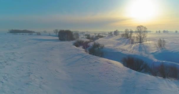 水平線上に霜雪 氷の川や太陽の光で覆われた木々 寒い冬の風景北極フィールドのドローンの空中ビュー 極端な低温の天候 — ストック動画