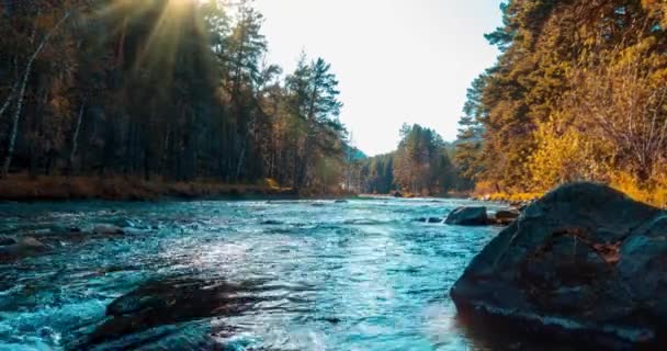 Uhd Горная Река Timelapse Летнее Осеннее Время Дикая Природа Чистая — стоковое видео