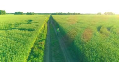 Kırsal yoldaki bir çim tarlasında bisiklet süren genç bir çocuğun hava manzarası. Sıcak güneş ışığı ve ışınlar ile yaz zamanı çayırı. Sağlıklı çocukluk kavramı.