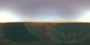 360 hava manzaralı. Güneşli bir sonbahar akşamında sonsuz yeşil tarlaları olan yaz manzarasının üzerinde alçak uçuş. Ufuktaki güneş ışınları. Hızlı yatay hareket. Tarım arazisi insansız hava aracı atışı. Dengeli
