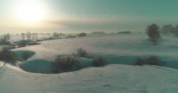 Soğuk Kış Kutup Bölgesinin Insansız Hava Görüntüsü Ufukta Karla Kaplı — Stok video