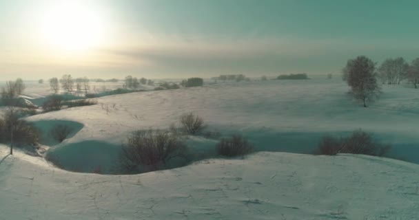 Drón Légi Kilátás Hideg Téli Táj Sarkvidéki Területen Fák Borított — Stock videók