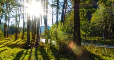 4k dağı, çam ağacı ormanı yaz ya da sonbahar zamanında zaman kavramına dönüşür. Vahşi doğa, berrak su ve kırsal vadi. Güneş ışınları, küçük dere, nehir ve sarı otlar. Motorlu doli kaydırma hareketi