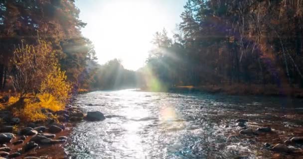 Uhd Горная Река Timelapse Летнее Осеннее Время Дикая Природа Чистая — стоковое видео