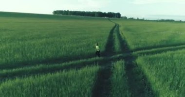 Sportif bir çocuğun havadan çekimleri buğday tarlasından geçiyor. Kırsal çayırlarda akşam sporu alıştırmaları. Mutlu bir çocukluk sağlıklı bir yaşam biçimidir. Açık havada koşma transferi. Radikal hareket, güneş