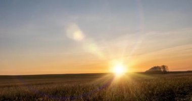 Sonbahar günbatımında 4K düz çayır zamanı. Vahşi doğa ve kırsal çimler. Güneş ışınları ve sarı çimenler. Motorlu doli kaydırma ve panorama hareketi