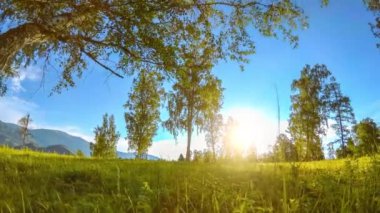 Yaz veya sonbahar aylarında dağ çayır zaman atlamalı. Vahşi doğa ve kırsal alan. Bulutlar, ağaçlar, yeşil çimenler ve güneş ışınları ufukta. Motorlu sürgü dolly hareketi.