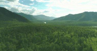 4K hava görüntüsü. Güneşli bir yaz akşamında sonsuz dağ ormanları olan sonsuz yeşil çam ağacı manzarasının üzerinde alçak uçuş. Ufuktaki güneş ışınları. Hızlı yatay hareket. Vahşi doğa.