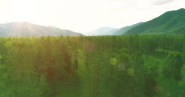 4K hava görüntüsü. Güneşli bir yaz akşamında sonsuz dağ ormanları olan sonsuz yeşil çam ağacı manzarasının üzerinde alçak uçuş. Ufuktaki güneş ışınları. Hızlı yatay hareket. Vahşi doğa.