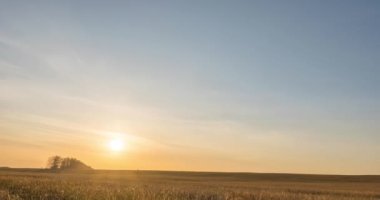 Sonbahar günbatımında 4K düz çayır zamanı. Vahşi doğa ve kırsal çimler. Güneş ışınları ve sarı çimenler. Motorlu doli kaydırma ve panorama hareketi