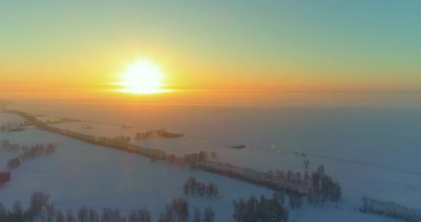 Flygdrönare Utsikt Över Kallt Vinterlandskap Med Arktiska Fält Träd Täckta — Stockvideo