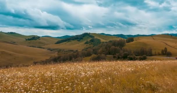 Время Горном Лугу Летом Осенью Дикая Природа Сельское Поле Быстрое — стоковое видео