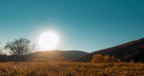 Гірський Луг Перекривається Літній Або Осінній Час Заходу Сонця Дика — стокове відео