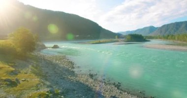 4K hava bakış açısı. Güneşli yaz sabahında, taze, hızlı dağ nehri üzerinde kayalıklarla alçak irtifa uçuşu. Yeşil çam ağaçları ve güneş ışınları. Saf soğuk su akıntısı.