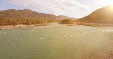 4K hava bakış açısı. Güneşli yaz sabahında, taze, hızlı dağ nehri üzerinde kayalıklarla alçak irtifa uçuşu. Yeşil çam ağaçları ve güneş ışınları. Saf soğuk su akıntısı.