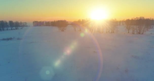 Vista Aérea Drones Del Frío Paisaje Invernal Con Campo Ártico — Vídeo de stock