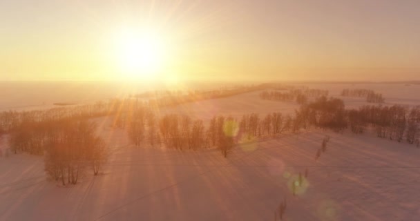 Luchtfoto Drone Uitzicht Koude Winter Landschap Met Poolveld Bomen Bedekt — Stockvideo