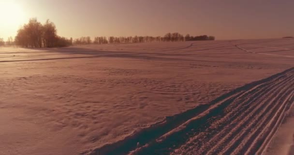Luchtfoto Drone Uitzicht Koude Winter Landschap Met Poolveld Bomen Bedekt — Stockvideo