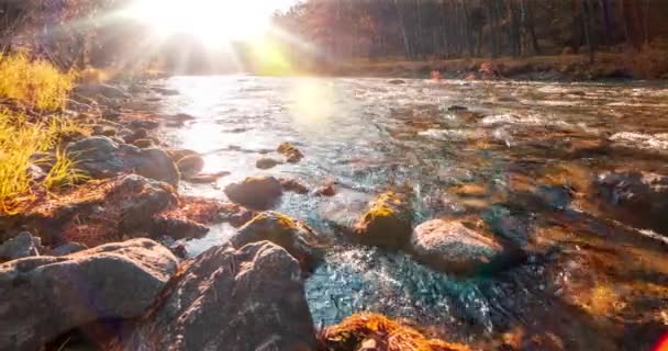 Горной Реке Timelapse Летнее Осеннее Время Дикая Природа Чистая Вода — стоковое видео