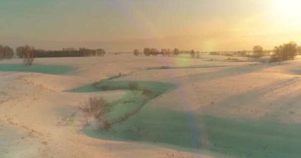 Widok Lotu Ptaka Mroźne Pole Arktyczne Zimowego Krajobrazu Drzewa Pokryte — Wideo stockowe