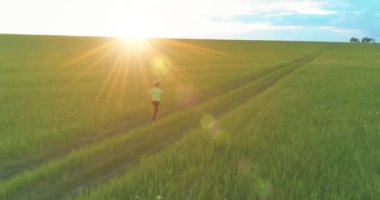 Sportif bir çocuğun havadan çekimleri buğday tarlasından geçiyor. Kırsal çayırlarda akşam sporu alıştırmaları. Mutlu bir çocukluk sağlıklı bir yaşam biçimidir. Açık havada koşma transferi. Radikal hareket, güneş