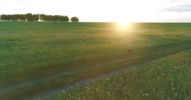 Sportif bir çocuğun havadan çekimleri buğday tarlasından geçiyor. Kırsal çayırlarda akşam sporu alıştırmaları. Mutlu bir çocukluk sağlıklı bir yaşam biçimidir. Açık havada koşma transferi. Radikal hareket, güneş