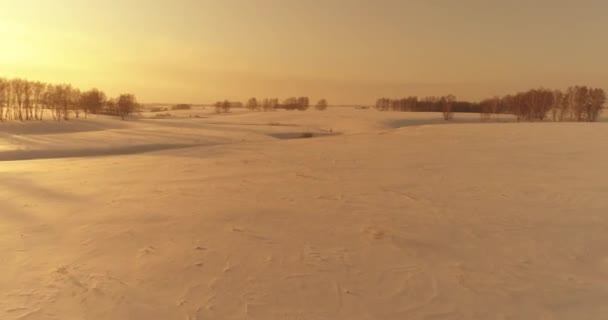 Drone Vue Aérienne Paysage Froid Hivernal Champ Arctique Arbres Couverts — Video