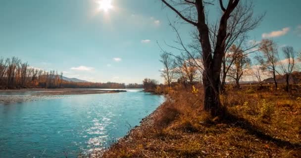 Czas Rzeki Mountain Lapse Okresie Letnim Lub Jesiennym Dzika Przyroda — Wideo stockowe