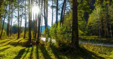 4k dağı, çam ağacı ormanı yaz ya da sonbahar zamanında zaman kavramına dönüşür. Vahşi doğa, berrak su ve kırsal vadi. Güneş ışınları, küçük dere, nehir ve sarı otlar. Motorlu doli kaydırma hareketi