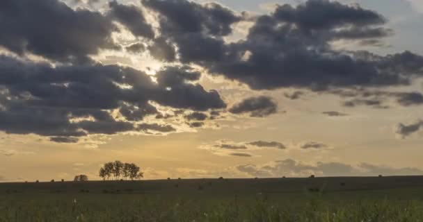 Uhd平らな丘の牧草地の時間は 夏や秋の日没時に経過します 野生の自然と農村のフィールド 太陽光線 緑の草の動き 電動ドリルスライダー ロイヤリティフリーのストック動画