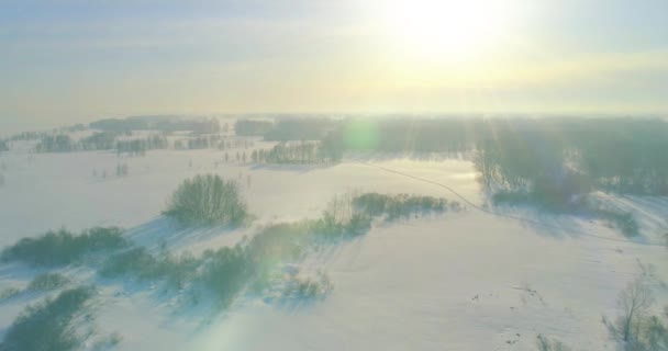 水平線上に霜雪 氷の川や太陽の光で覆われた木々 寒い冬の風景北極フィールドのドローンの空中ビュー 極端な低温の天候 ストック映像