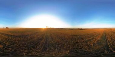 360 hava manzaralı. Güneşli bir sonbahar akşamında sonsuz yeşil tarlaları olan yaz manzarasının üzerinde alçak uçuş. Ufuktaki güneş ışınları. Hızlı yatay hareket. Tarım arazisi insansız hava aracı atışı. Dengeli