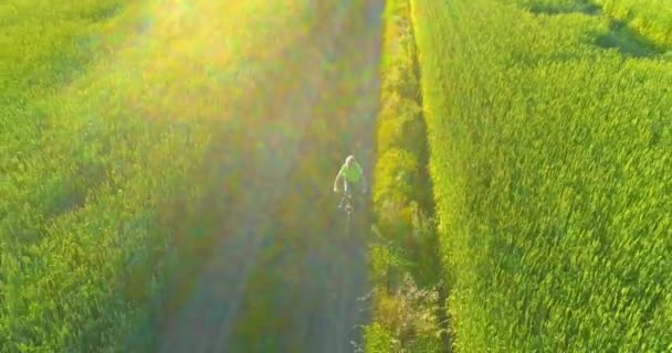 少年は 古い農村部の道路上のコムギの芝生のフィールドを介して自転車に乗るの空中ビュー 暖かい日差しと梁と夏の時間の牧草地 健康的な子供時代のコンセプト ストック映像