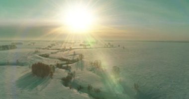 Soğuk kış kutup bölgesinin insansız hava görüntüsü, ufukta karla kaplı ağaçlar, buz nehri ve güneş ışınları. Aşırı düşük sıcaklık havası.
