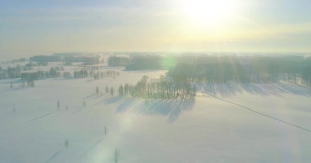 水平線上に霜雪 氷の川や太陽の光で覆われた木々 寒い冬の風景北極フィールドのドローンの空中ビュー 極端な低温の天候 ロイヤリティフリーストック映像