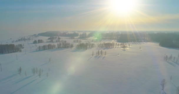 지방의 풍경을 공중에서 수있었고 서리가 내리는 얼음이 흐르는 광선으로 나무들을 로열티 프리 스톡 푸티지