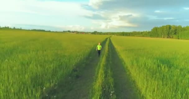 スポーティな子供の空中撮影は小麦畑を通って実行されます 田舎の牧草地で夜のスポーツトレーニング演習 幸せな子供時代は健康的な生き方です 屋外走行トランザクション 放射状の動き太陽 動画クリップ