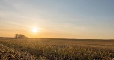 Sonbahar günbatımında 4K düz çayır zamanı. Vahşi doğa ve kırsal çimler. Güneş ışınları ve sarı çimenler. Motorlu doli kaydırma ve panorama hareketi