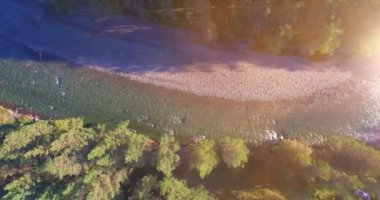 4K hava bakış açısı. Güneşli yaz sabahında, taze, hızlı dağ nehri üzerinde kayalıklarla alçak irtifa uçuşu. Yeşil çam ağaçları ve güneş ışınları. Saf soğuk su akıntısı.