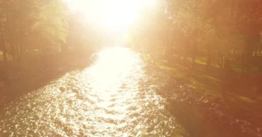 4K hava bakış açısı. Güneşli yaz sabahında, taze, hızlı dağ nehri üzerinde kayalıklarla alçak irtifa uçuşu. Yeşil çam ağaçları ve güneş ışınları. Saf soğuk su akıntısı.