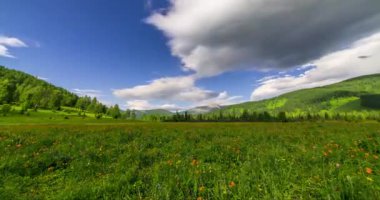 Yaz ya da sonbahar mevsiminde dağdaki çayır zaman atlaması. Vahşi doğa ve kırsal alan. Bulutların hareketi, yeşil çimenler ve güneş ışınları. Motorlu Panorama