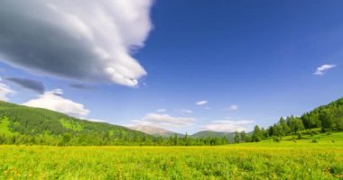 Yaz ya da sonbahar mevsiminde dağdaki çayır zaman atlaması. Vahşi doğa ve kırsal alan. Bulutların hareketi, yeşil çimenler ve güneş ışınları. Motorlu Panorama