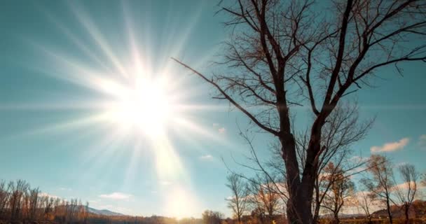 山河时滞在夏秋两季的时候 野生的自然 清澈的蓝水和干枯的树木 太阳光和黄昏的轻风 机动滑翔机运动 — 图库视频影像