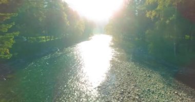 4K hava bakış açısı. Güneşli yaz sabahında, taze, hızlı dağ nehri üzerinde kayalıklarla alçak irtifa uçuşu. Yeşil çam ağaçları ve güneş ışınları. Saf soğuk su akıntısı.