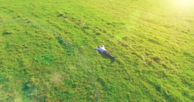 Havadan bakış açısı. Sarı kırsal alanda yeşil çimlerin üzerinde dizüstü bilgisayarı olan bir adam etrafında alçak yörüngeden uçuyordu. Sıradan giyinmiş. Güneş ışınları. Radikal hareket.