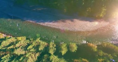 4K hava bakış açısı. Güneşli yaz sabahında, taze, hızlı dağ nehri üzerinde kayalıklarla alçak irtifa uçuşu. Yeşil çam ağaçları ve güneş ışınları. Saf soğuk su akıntısı.